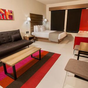 Large Queen Suite Sofa Bed